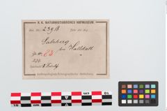 Etiketten zu Bronzetutulusscheibenfibel (NHMW-PRAE-023918)
